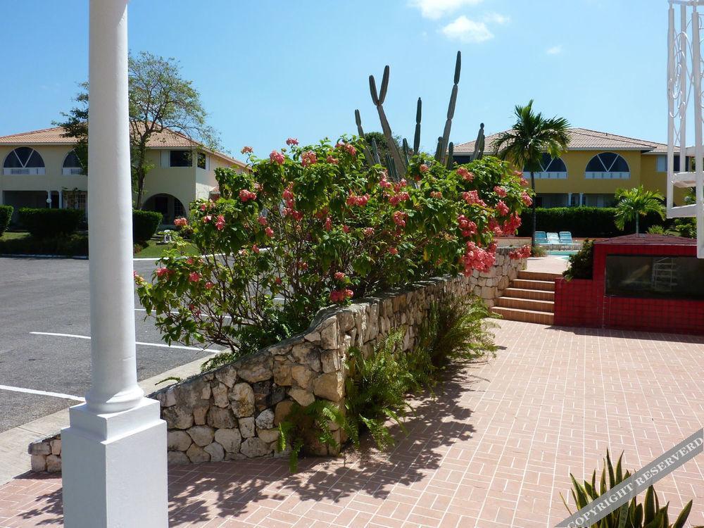 The Atrium At Ironshore Montego Bay Ngoại thất bức ảnh